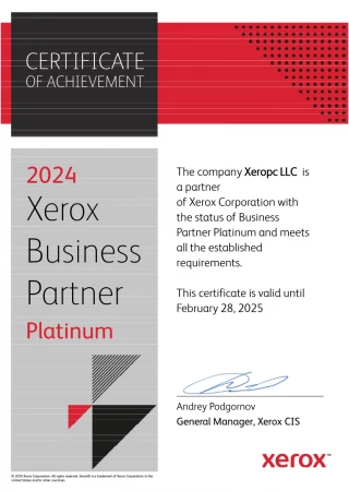 Xerox Business Partner Platinum